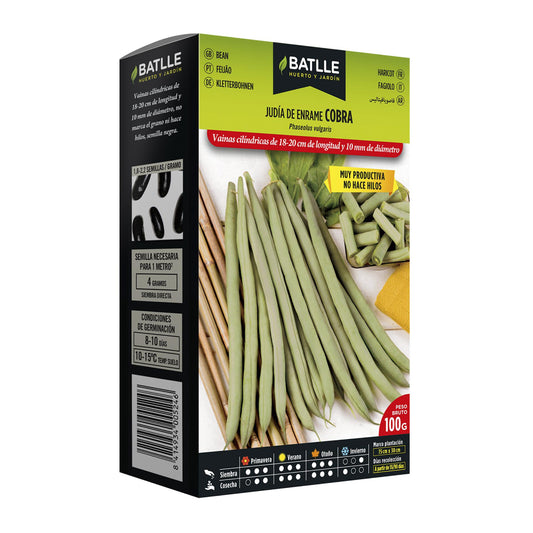 Semillas de  Judía de enrame Cobra 250 gr.