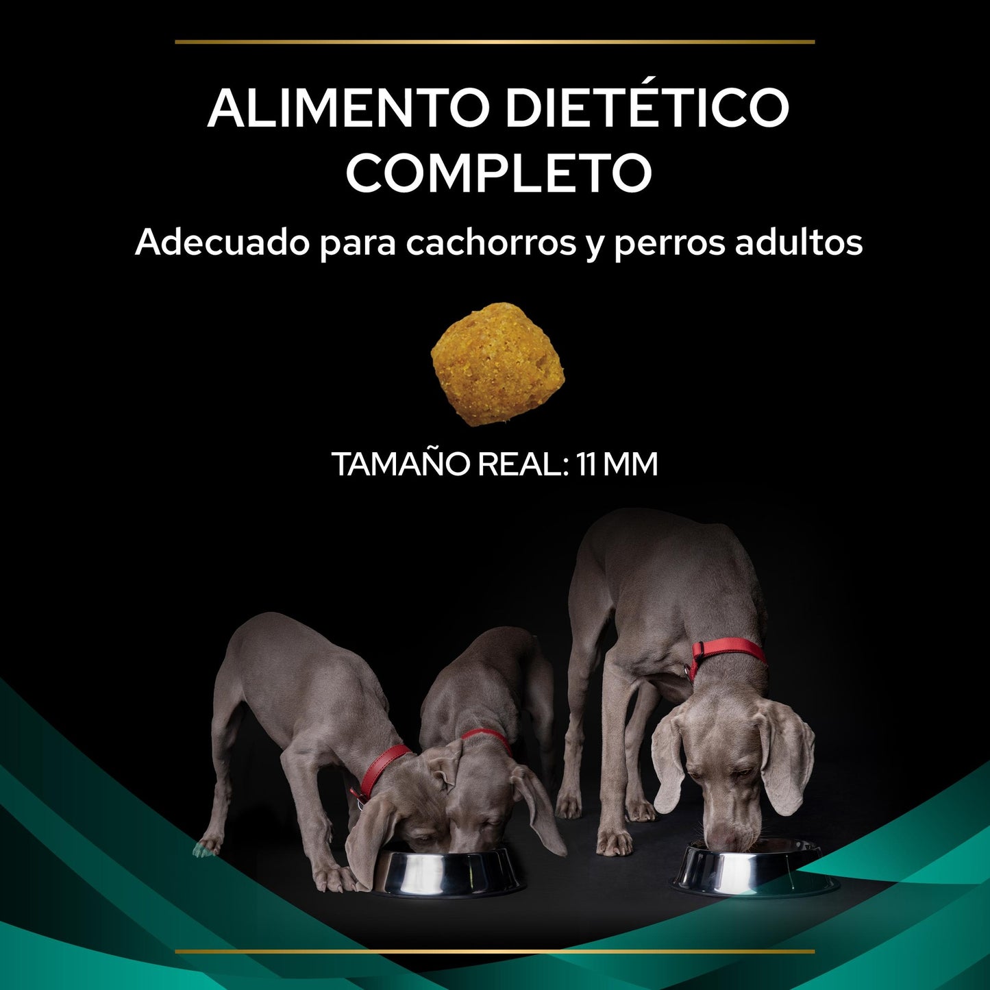 PURINA PRO PLAN VETERINARY DIETS CANINE EN Gastrointestinal 12 kg