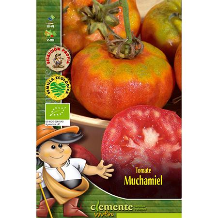 Semillas ecológicas de Tomate Muchamiel
