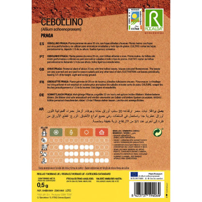 Semillas ecológicas de cebollino Praga Rocalba