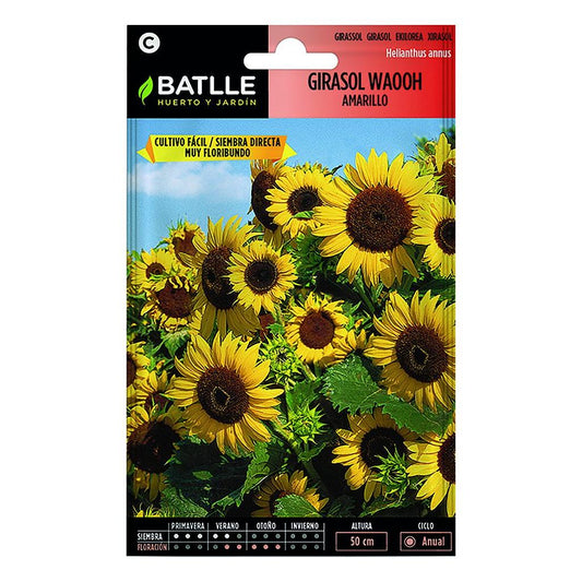 Semillas de Girasol Waooh Amarillo