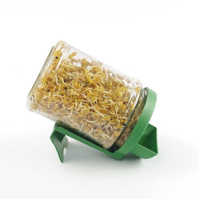 Tarro de germinar con soporte verde GermLine