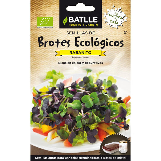 Semillas brotes eco Rabanito Sango Batlle