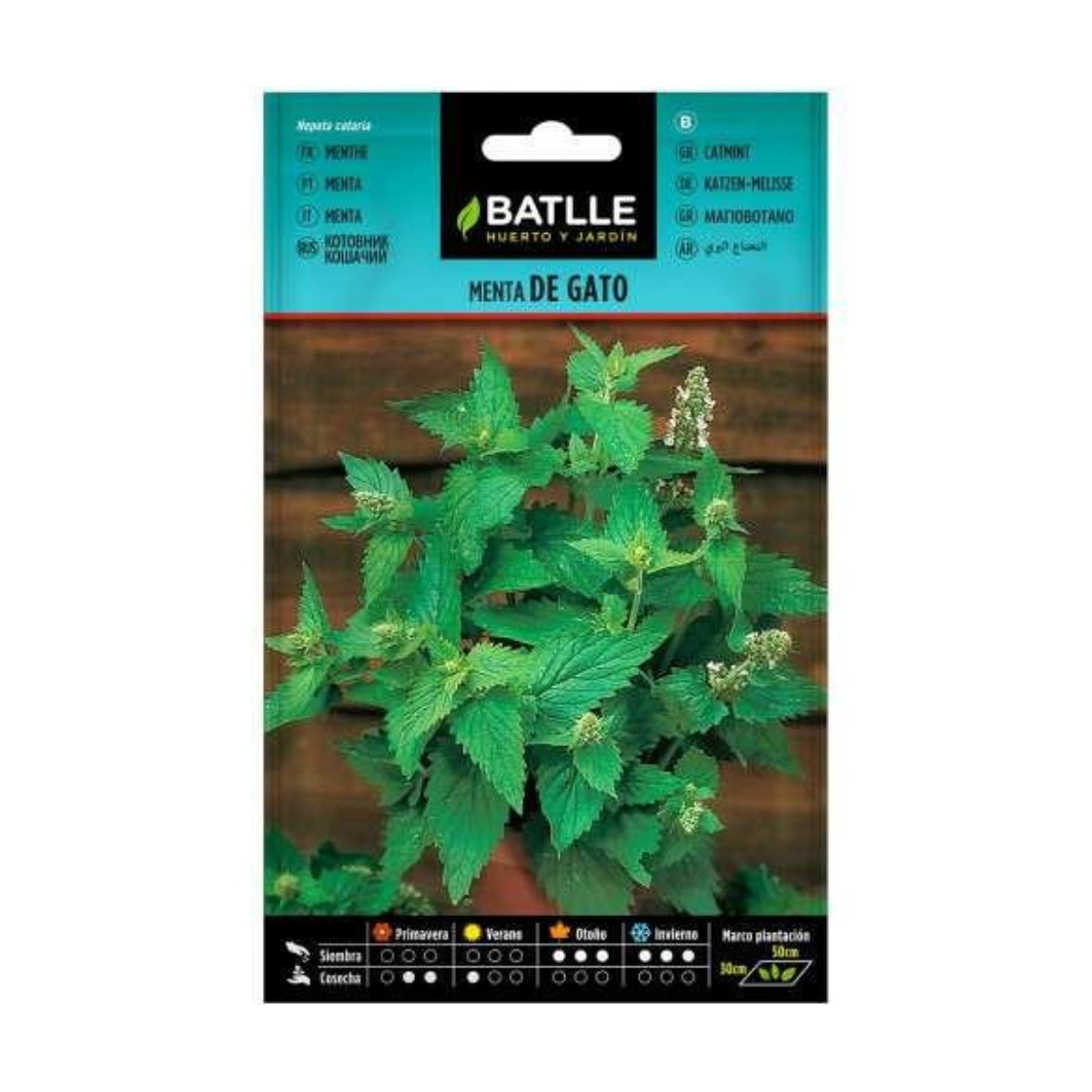 Semillas de Menta de Gato Batlle