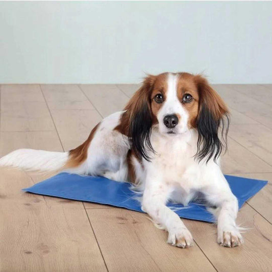 Trixie Alfombrilla refrescante para mascotas 40 × 30 cm
