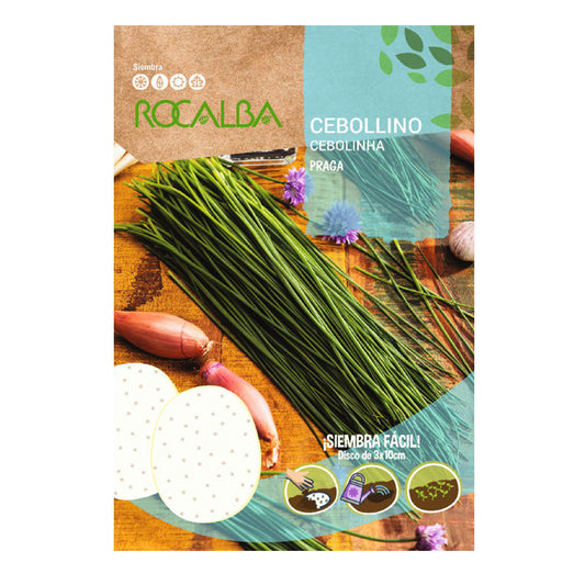 Semillas de Cebollino de Praga en discos, Rocalba