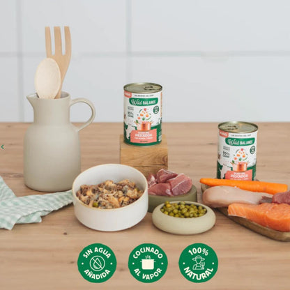 Pack 6X Guiso del pescador salmón y cerdo para perros Wild Balance 400 gr