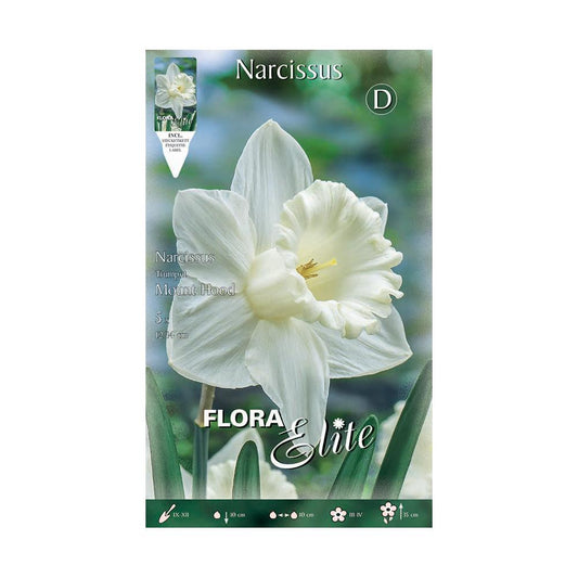 Bulbos Narciso Trompeta blanco puro Elite 5 uds