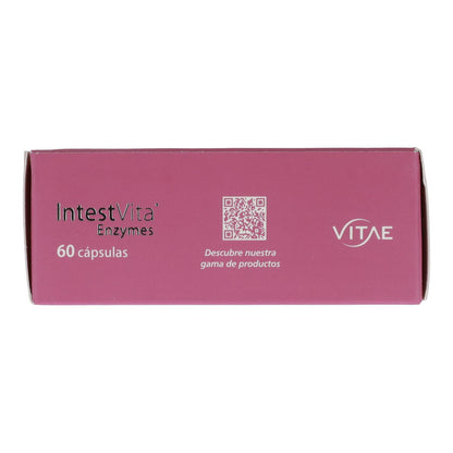 IntestVita Enzymes