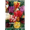Bulbos Tulipán Papagayo mezcla 7 uds