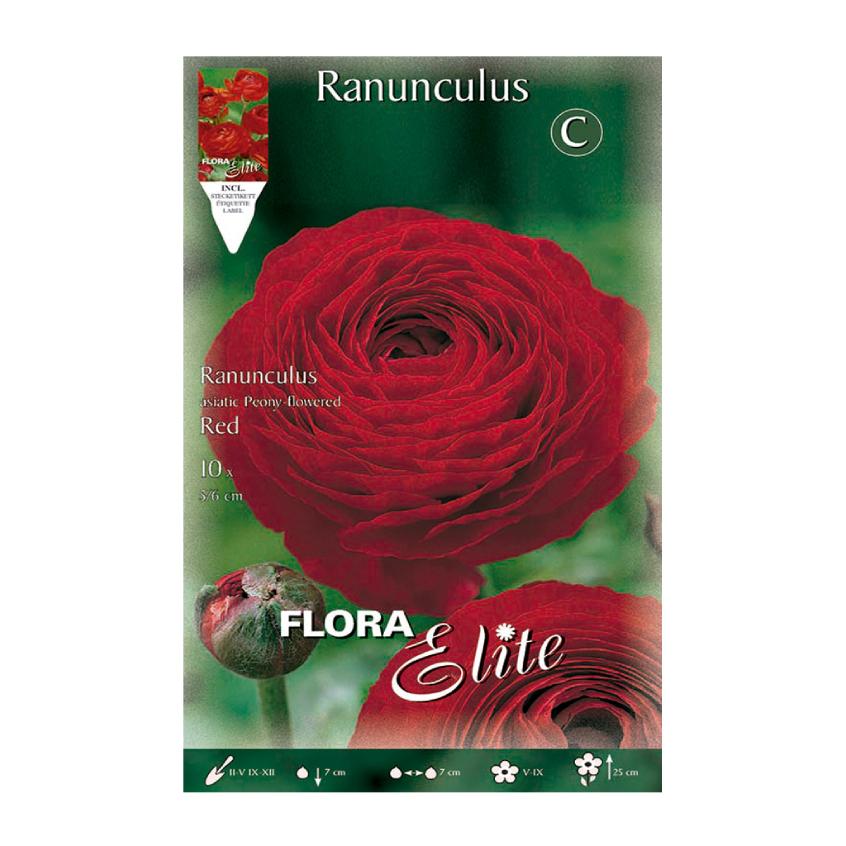 Bulbos Ranúnculo rojo Elite 10 uds