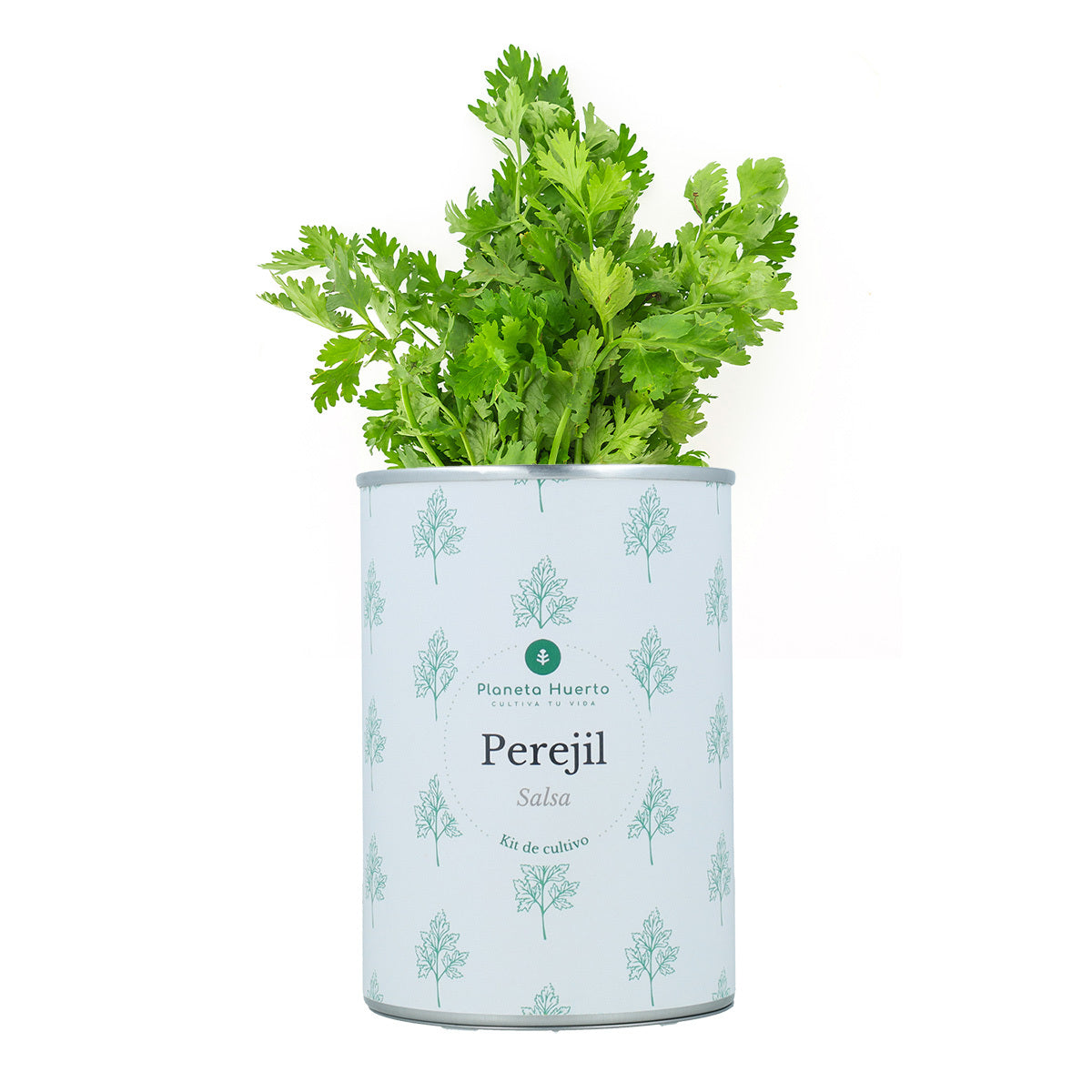 Pack Cofre Kits de cultivo aromáticas Planeta Huerto