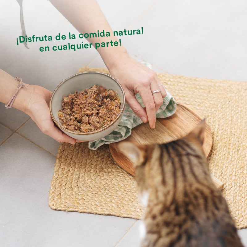 Pack Cerdo y verduras BARF para gatos 6x120 g Wild Balance