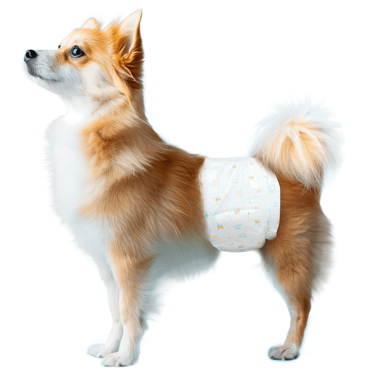 Pañales para perro macho M 10 uds. Nobleza
