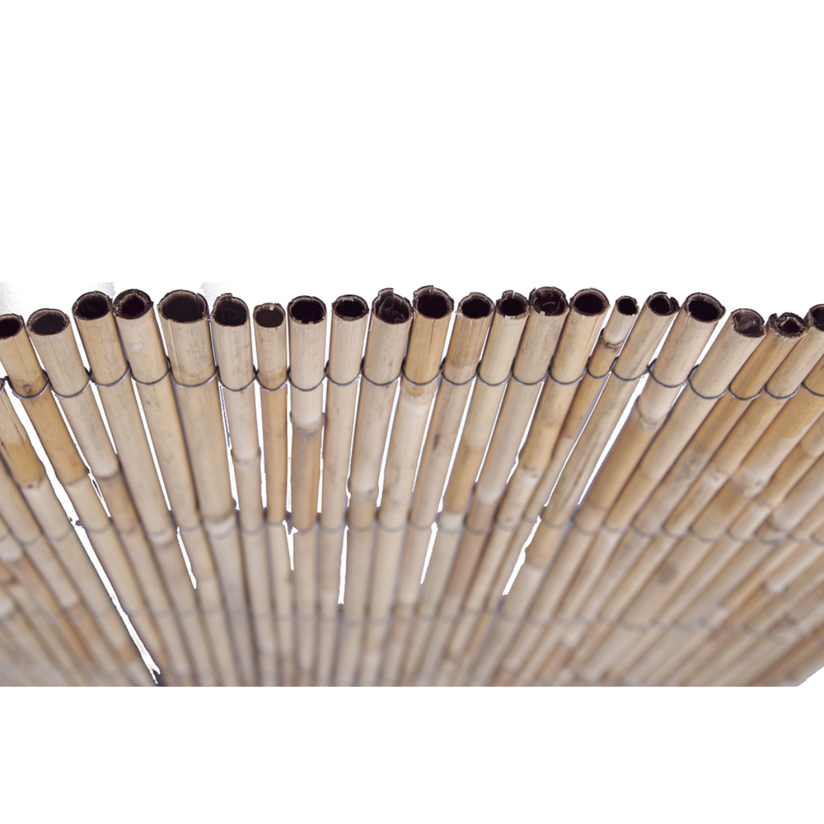 Cañizo entero varilla mediana Reedcane Plus Nortene 1,5x5 m