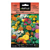 Semillas de Mezcla de Flores Rocallas y borduras