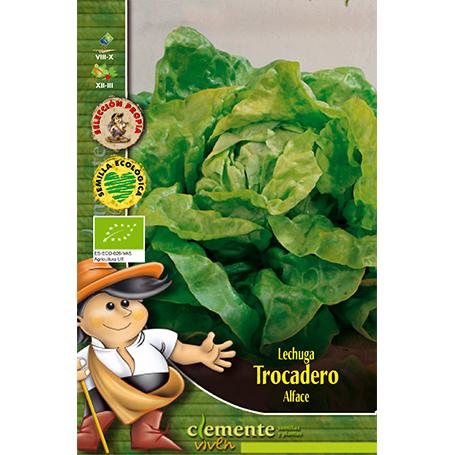Semillas ecológicas de Lechuga Trocadero
