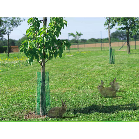 Malla de protección antirroedores Treeguard Nortene 10 ud