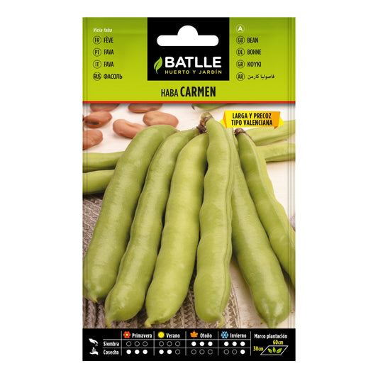 Semillas de  Haba CARMEN 250 g