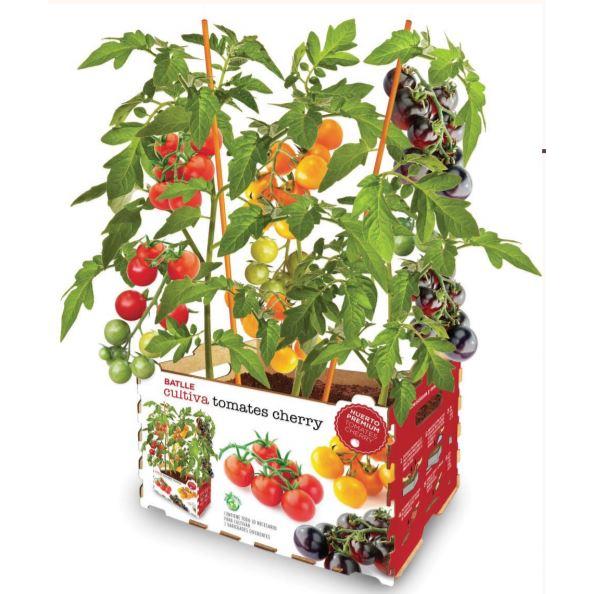 Huerto Premium Tomates Cherry