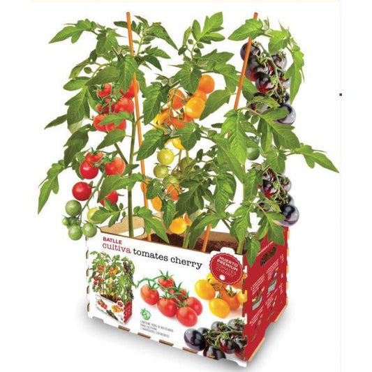 Huerto Premium Tomates Cherry