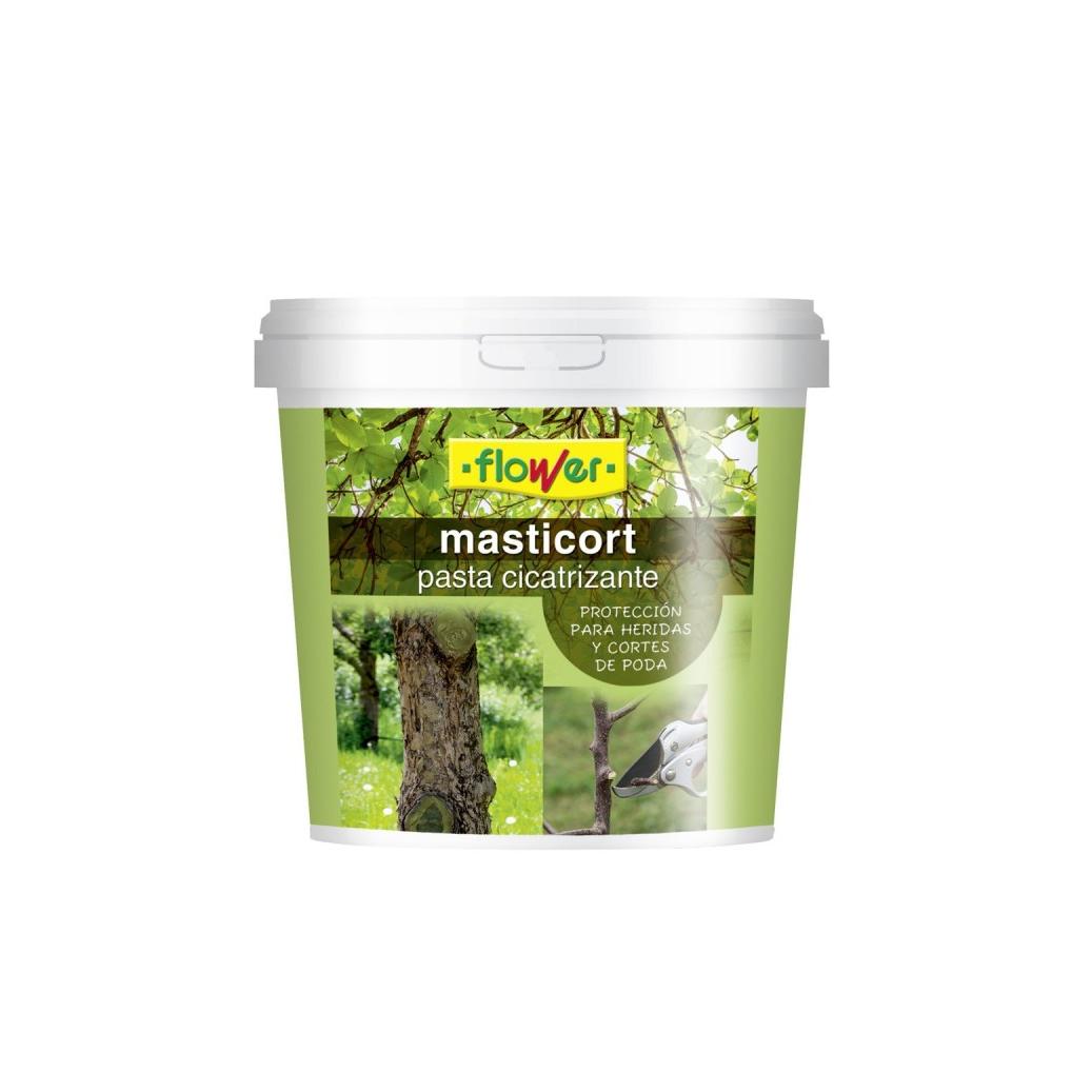 Pasta Cicatrizante masticort 1 kg Flower