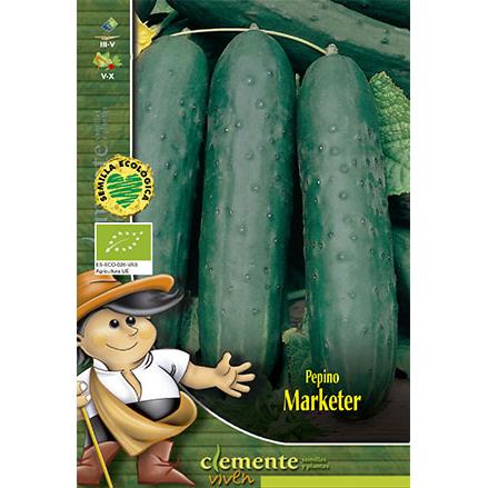 Semillas ecológicas de Pepino Marketer