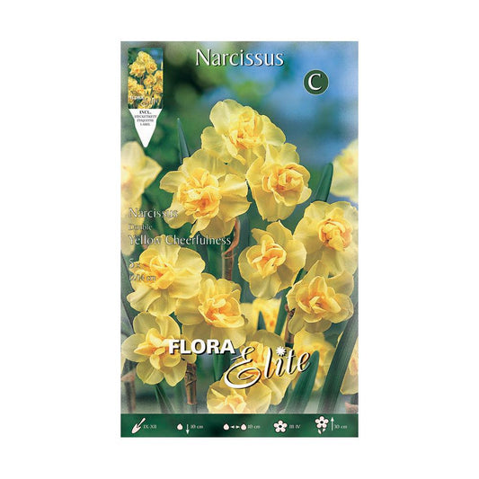 Bulbos Narciso Poeta amarillo naranja Elite 5 uds