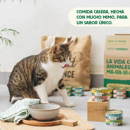 Lata completa Ragut Tradicional de Ternera y Pollo para Gatos Wild Balance 80gr