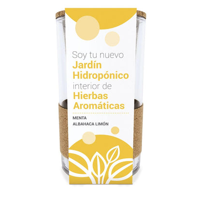Cultivo hidropónico  menta - albahaca limón