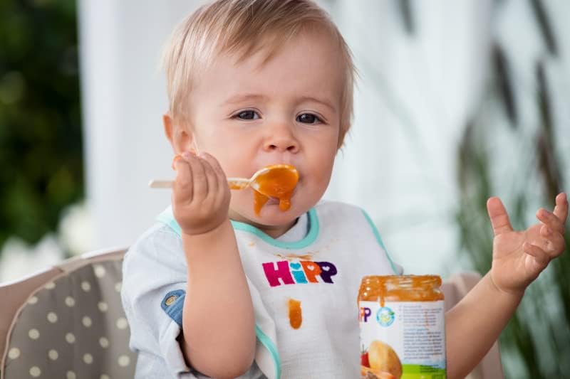 Tarrito de frutas variadas con cereales bio +6 meses HiPP 190 g
