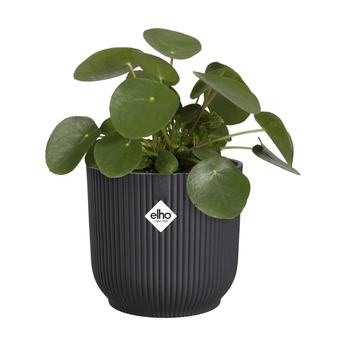 Maceta Antracita Vibes Fold Round Elho 18cm 100% reciclado