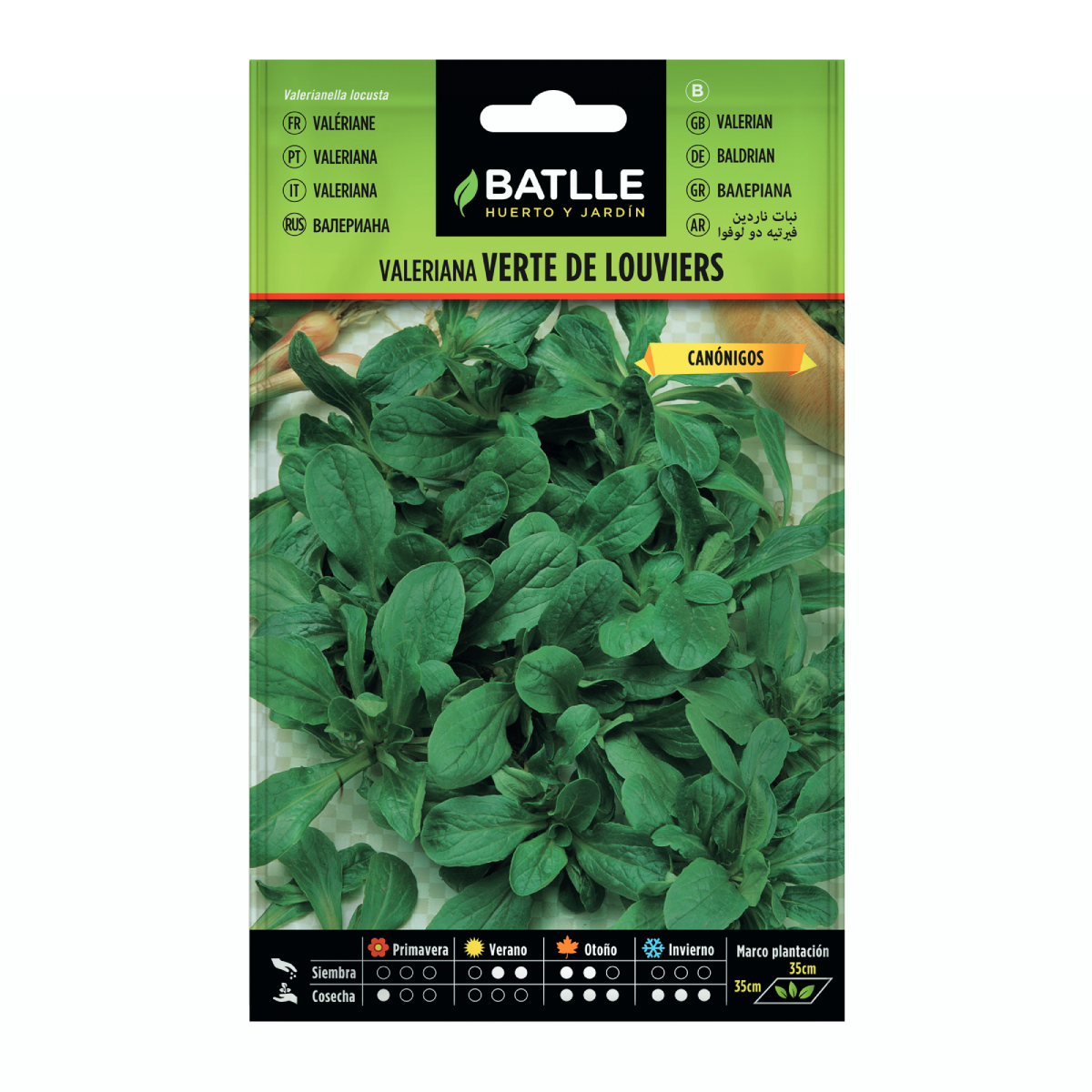 Semillas de  Valeriana Canónigos Verte de Louviers Batlle