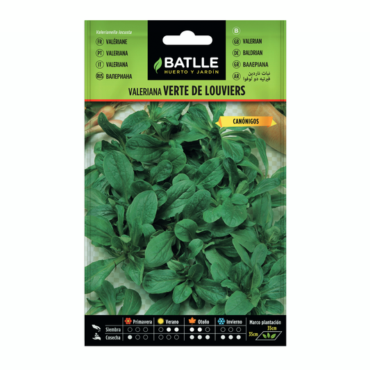 Semillas de  Valeriana Canónigos Verte de Louviers Batlle
