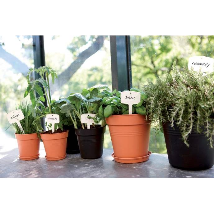 Maceta Green Basics Elho Antracita 17 cm