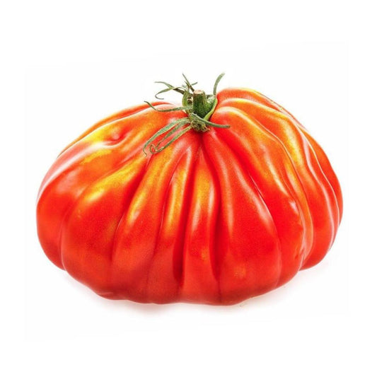 Plantón de Tomate corazón de buey en maceta 11 cm