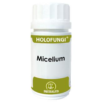 Holofungi Micelium, Equisalud