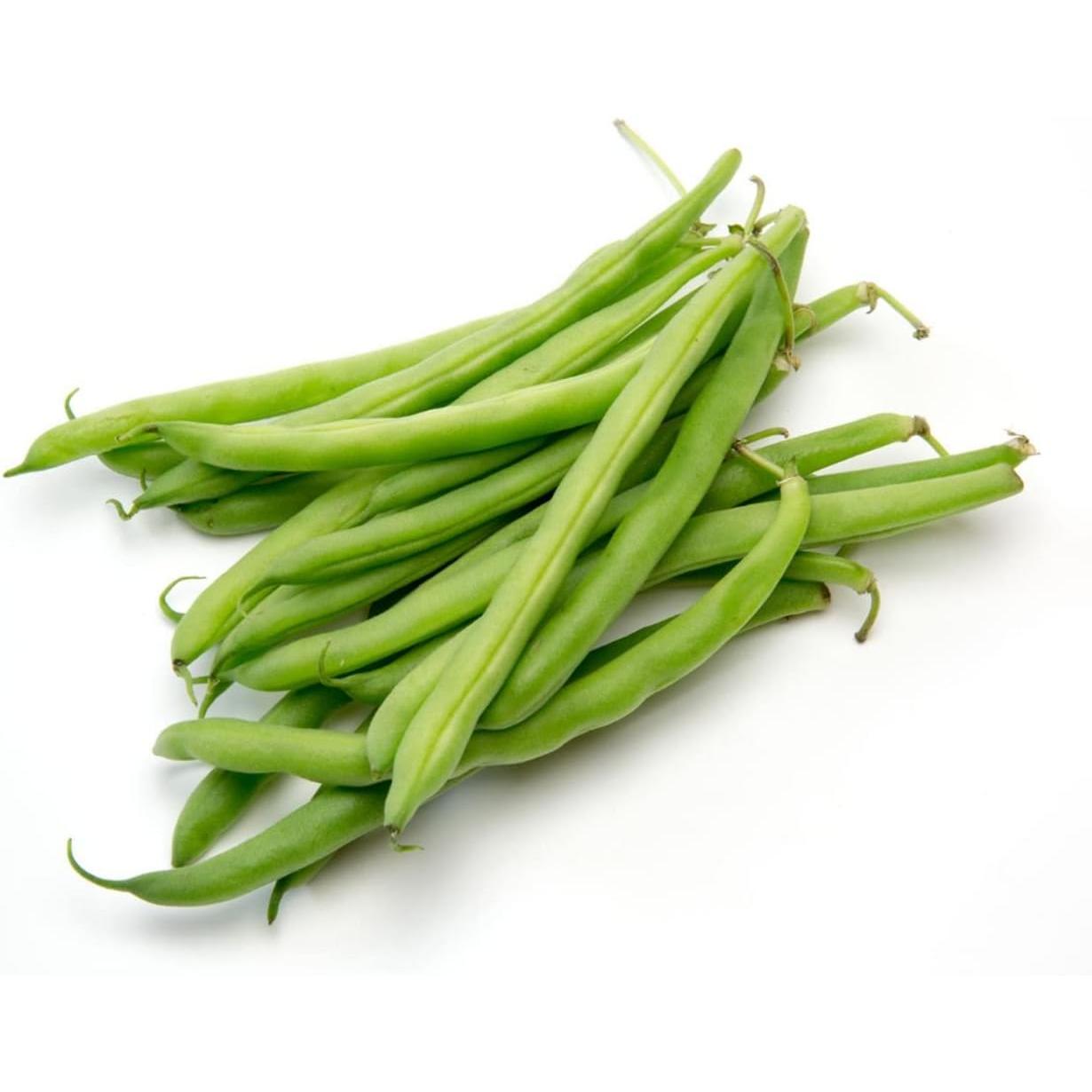 Plantón de Judía Parker mata baja 6 uds. Gama Tradicional