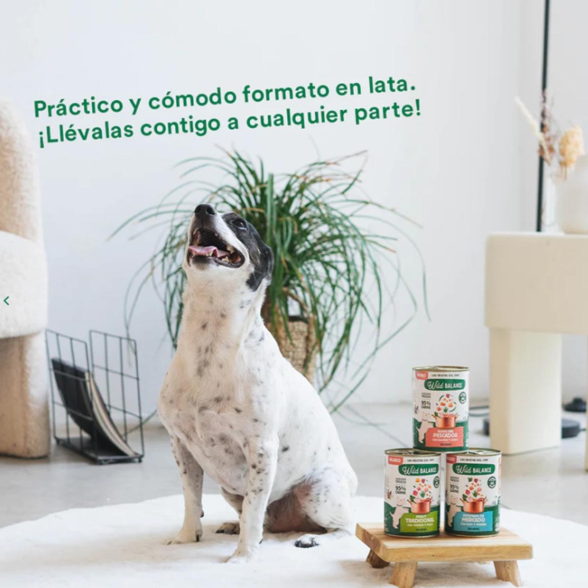 Pack 6X Estofado de mercado con pavo y ternera para perros Wild Balance 400 gr