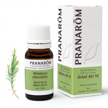 Aceite esencial Árbol del té Pranarôm 10 ml