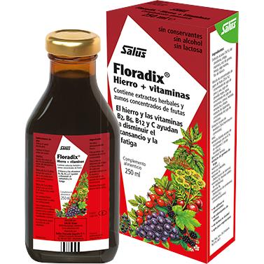 Floradix jarabe hierro Salus 500 ml