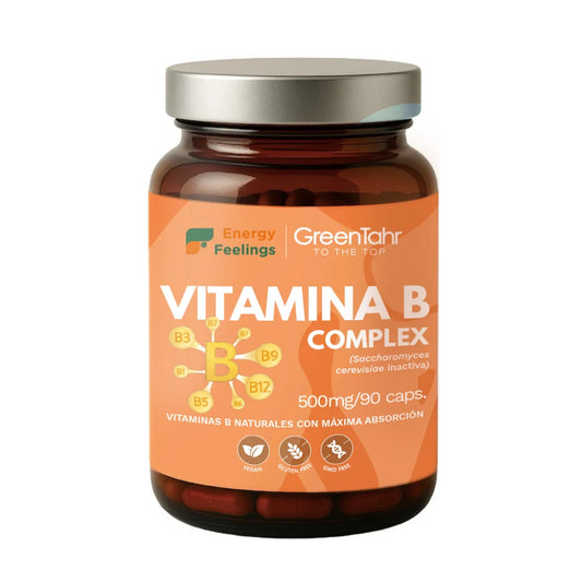 VITAB Biodisponible Energy Feelings cápsulas (90ud/500mg)