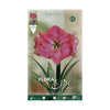 Bublo Amarillis rosa Elite 1 ud