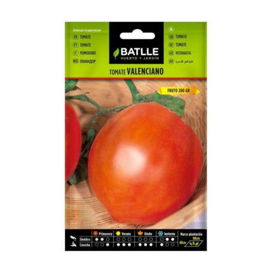 Semillas de  Tomate Valenciano