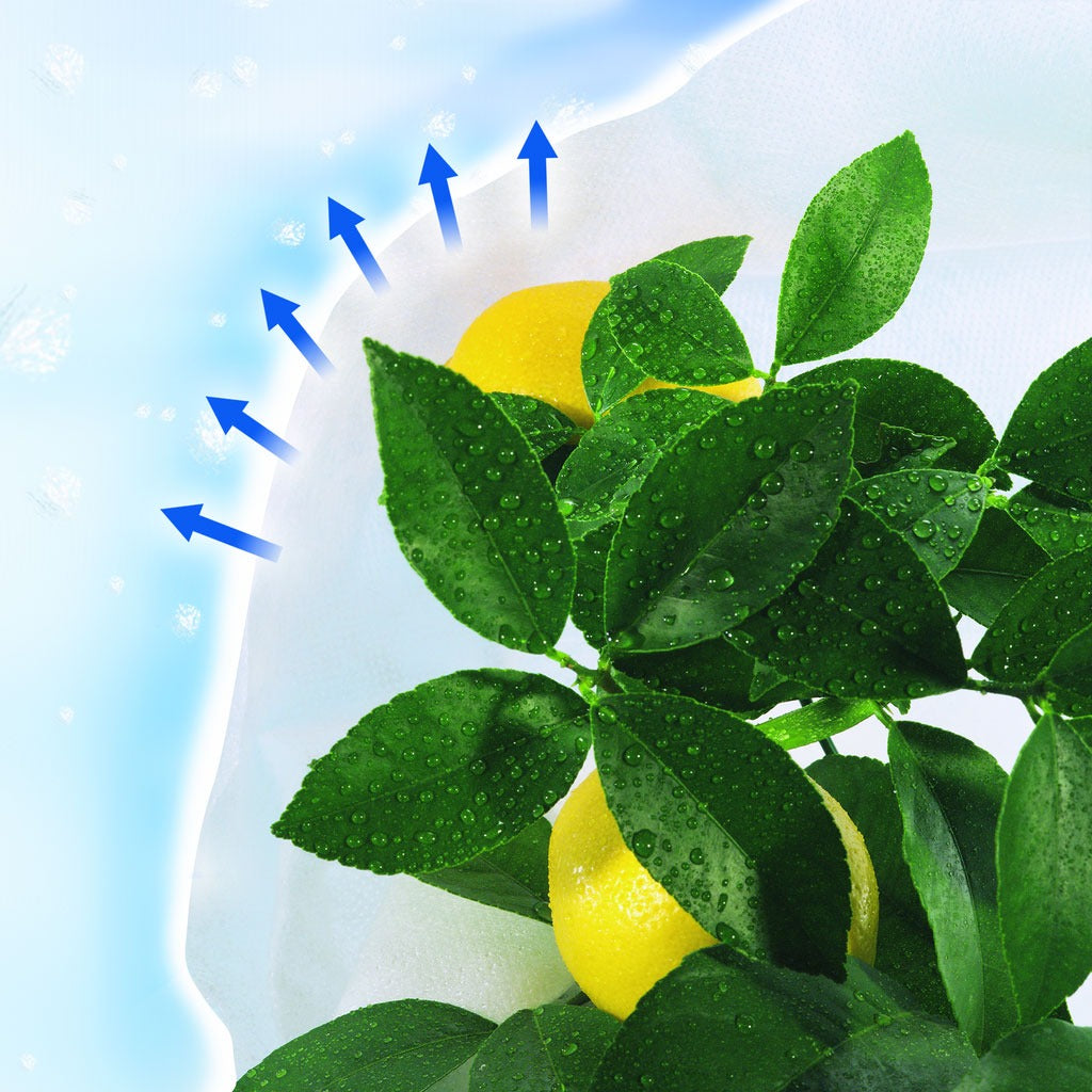 Funda de hibernación antiheladas Hiversac Deco Nortene 3 ud