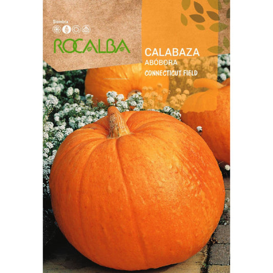 Semillas de Calabaza connecticut field
