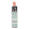 Bach Hornbeam-Carpe/Hojaranzo 10Ml Santiveri