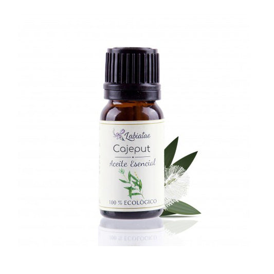 Aceite esencial de Cajeput (Melaleuca cajaputi). 12 ml.