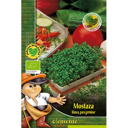 Semillas ecológicas de Mostaza Blanca