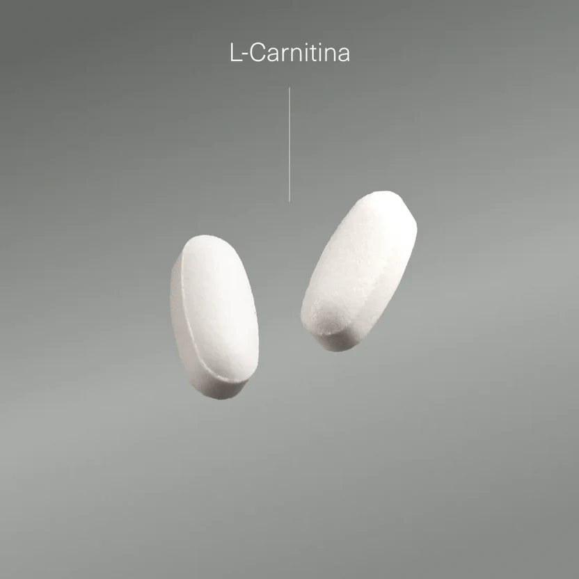 L Carnitina 2000mg Aldous Bio 200 Comprimidos